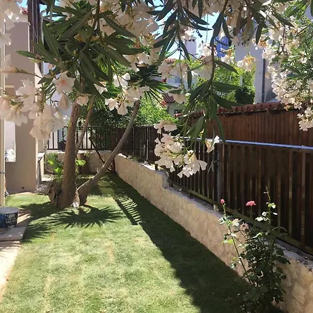 Nikolas * Pefkochori